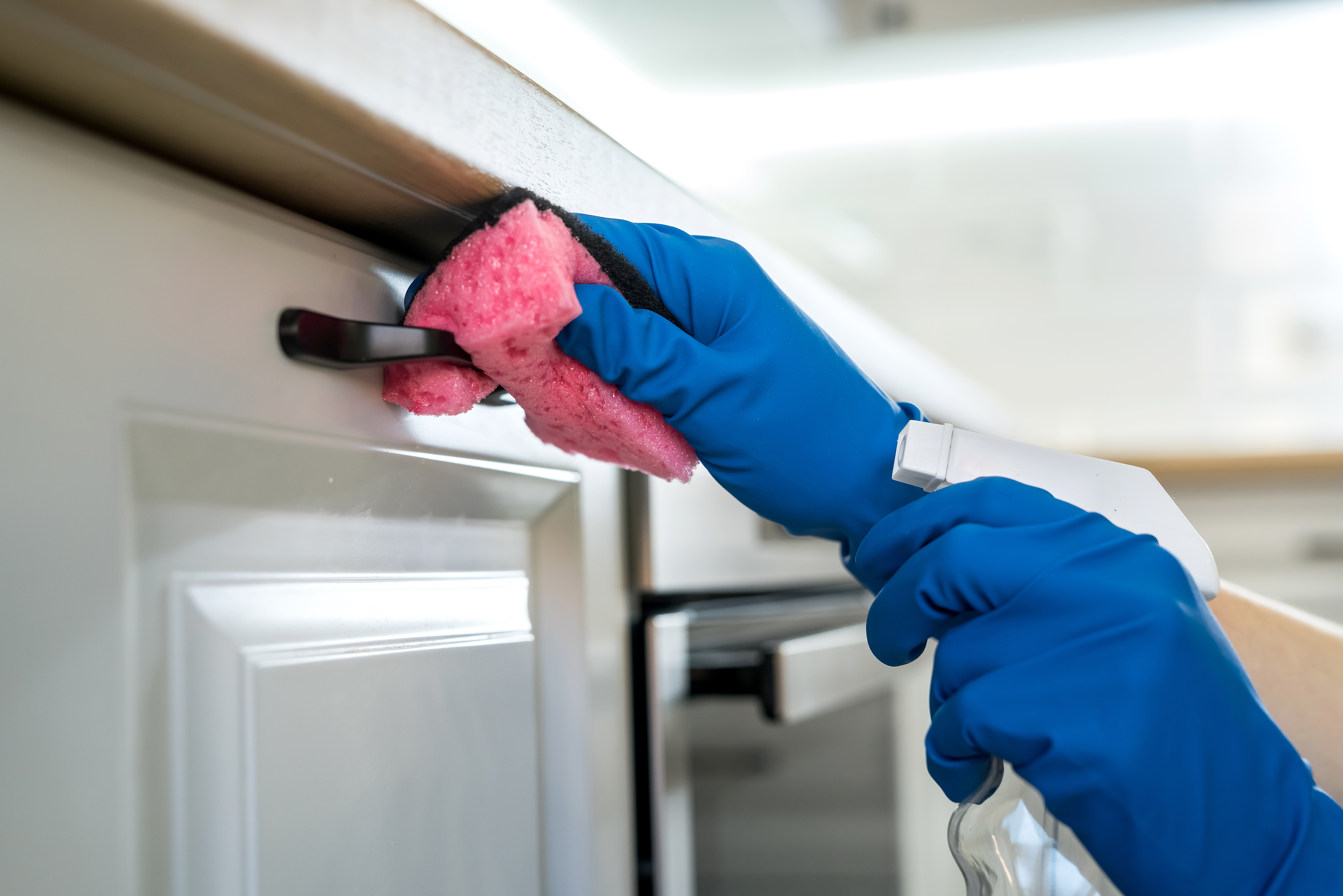 Move in move out cleaning San Antonio TX — Lumina Cleaning Service